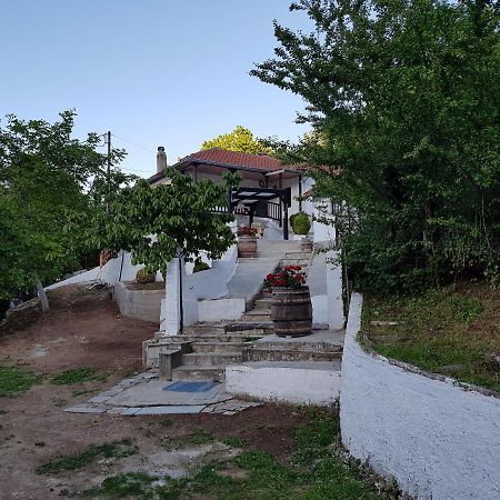 Proias Guesthouse 7Km From Meteora!At Village Vlachava Καλαμπάκα Εξωτερικό φωτογραφία